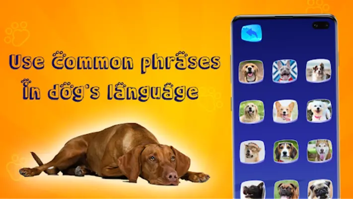 Translator for Dogs (Joke) android App screenshot 4